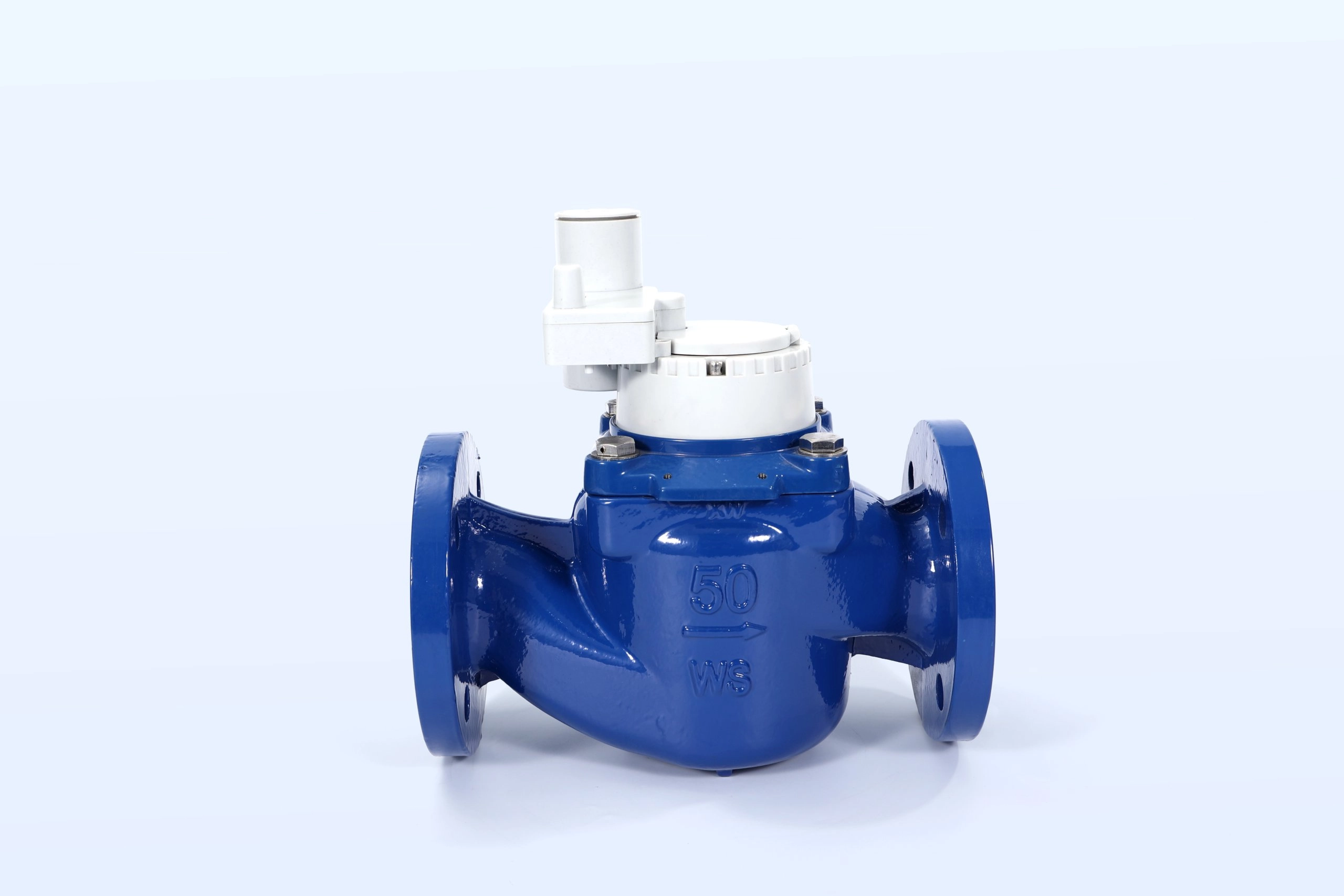 مقياس المياه لوراوان DN50